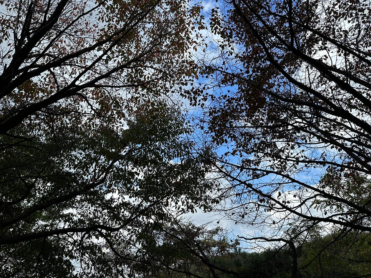 KakaoTalk_Photo_2023-10-27-15-58-28 007.jpeg