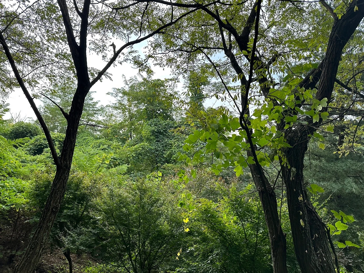 KakaoTalk_Photo_2023-10-18-23-11-15 007.jpeg