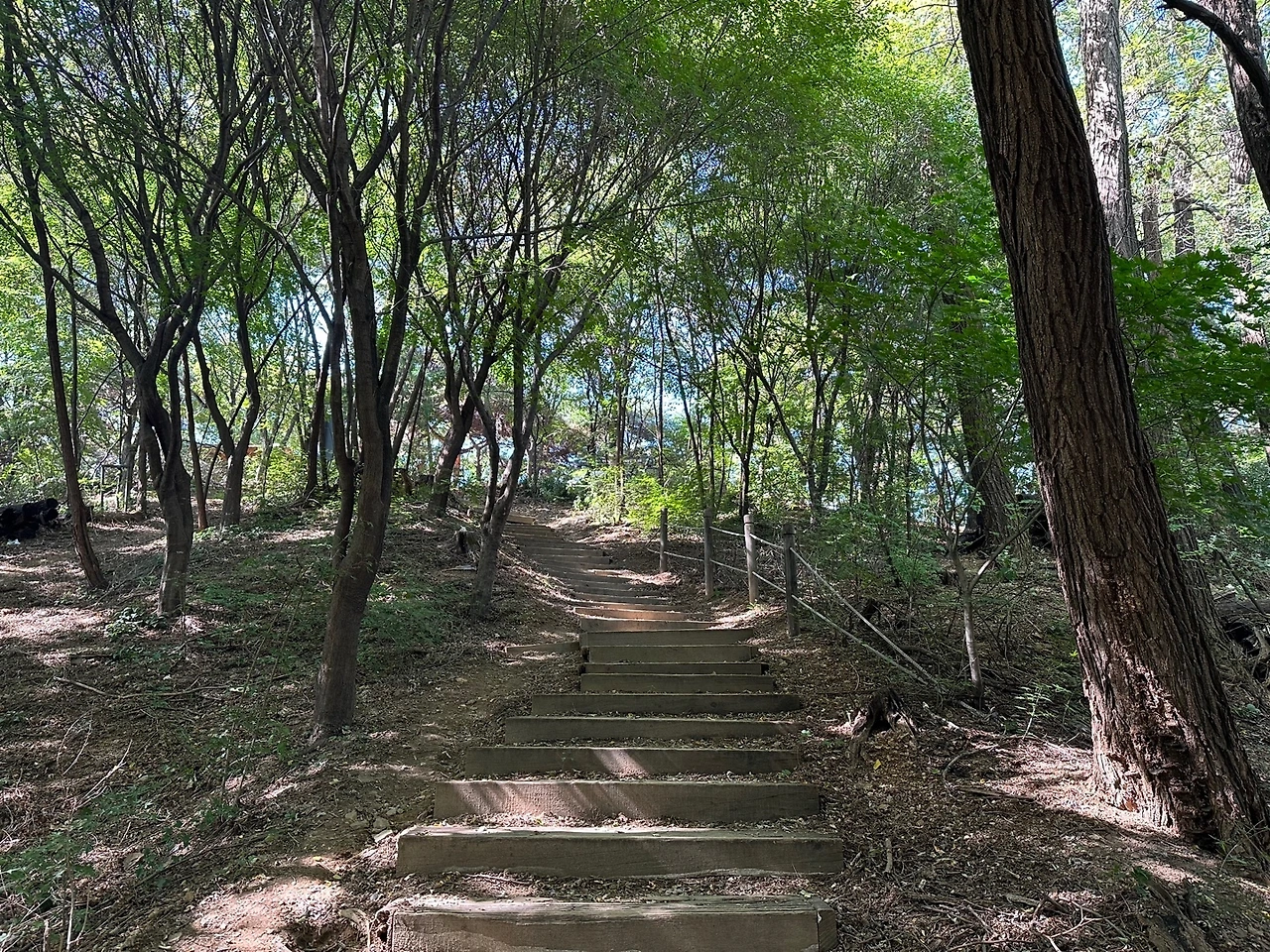 KakaoTalk_Photo_2023-10-17-14-19-10 018.jpeg