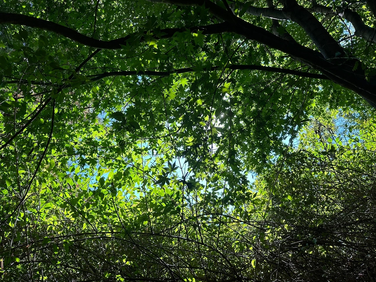 KakaoTalk_Photo_2023-10-21-16-28-43 003.jpeg