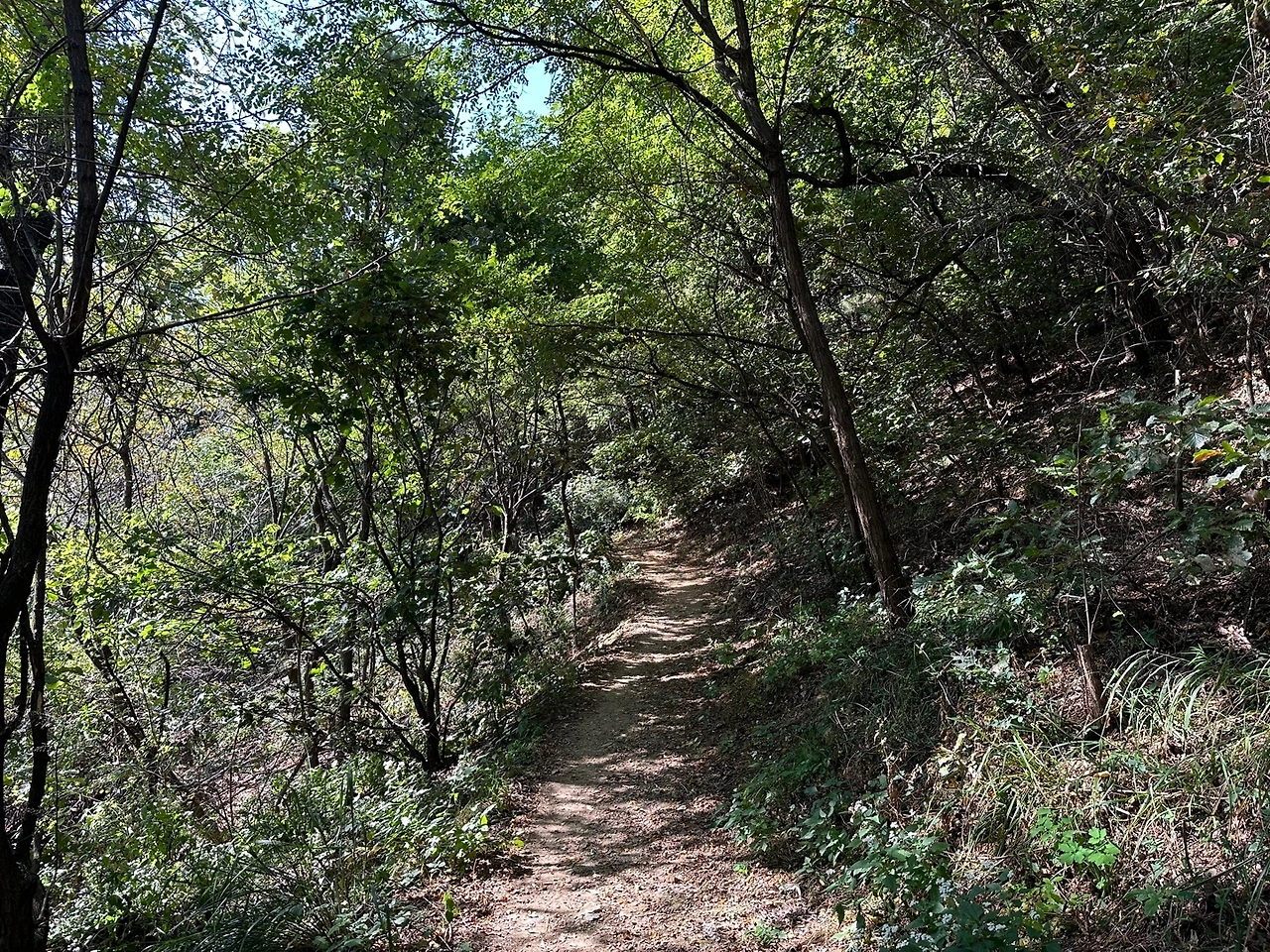 KakaoTalk_Photo_2023-10-17-14-19-06 004.jpeg