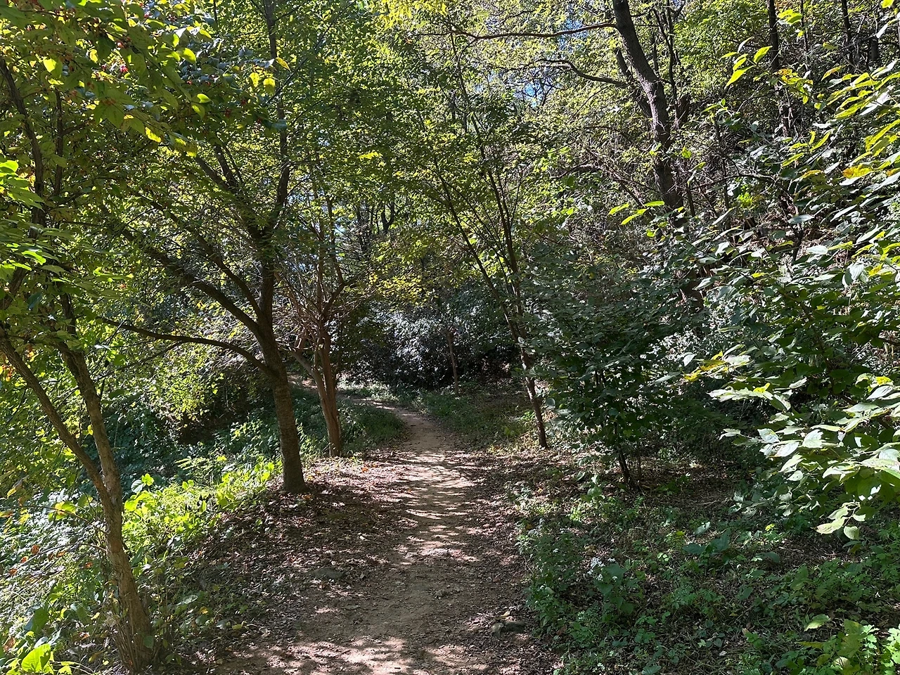 KakaoTalk_Photo_2023-10-21-16-28-44 008.jpeg