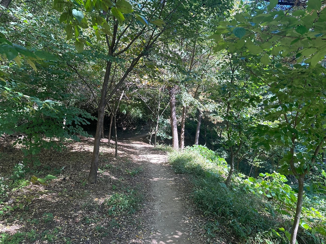 KakaoTalk_Photo_2023-10-21-16-28-44 009.jpeg