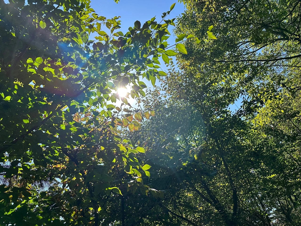 KakaoTalk_Photo_2023-10-17-14-19-07 009.jpeg