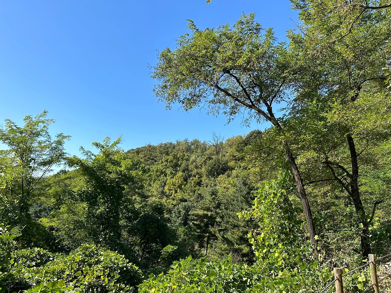 KakaoTalk_Photo_2023-10-17-14-19-08 011.jpeg