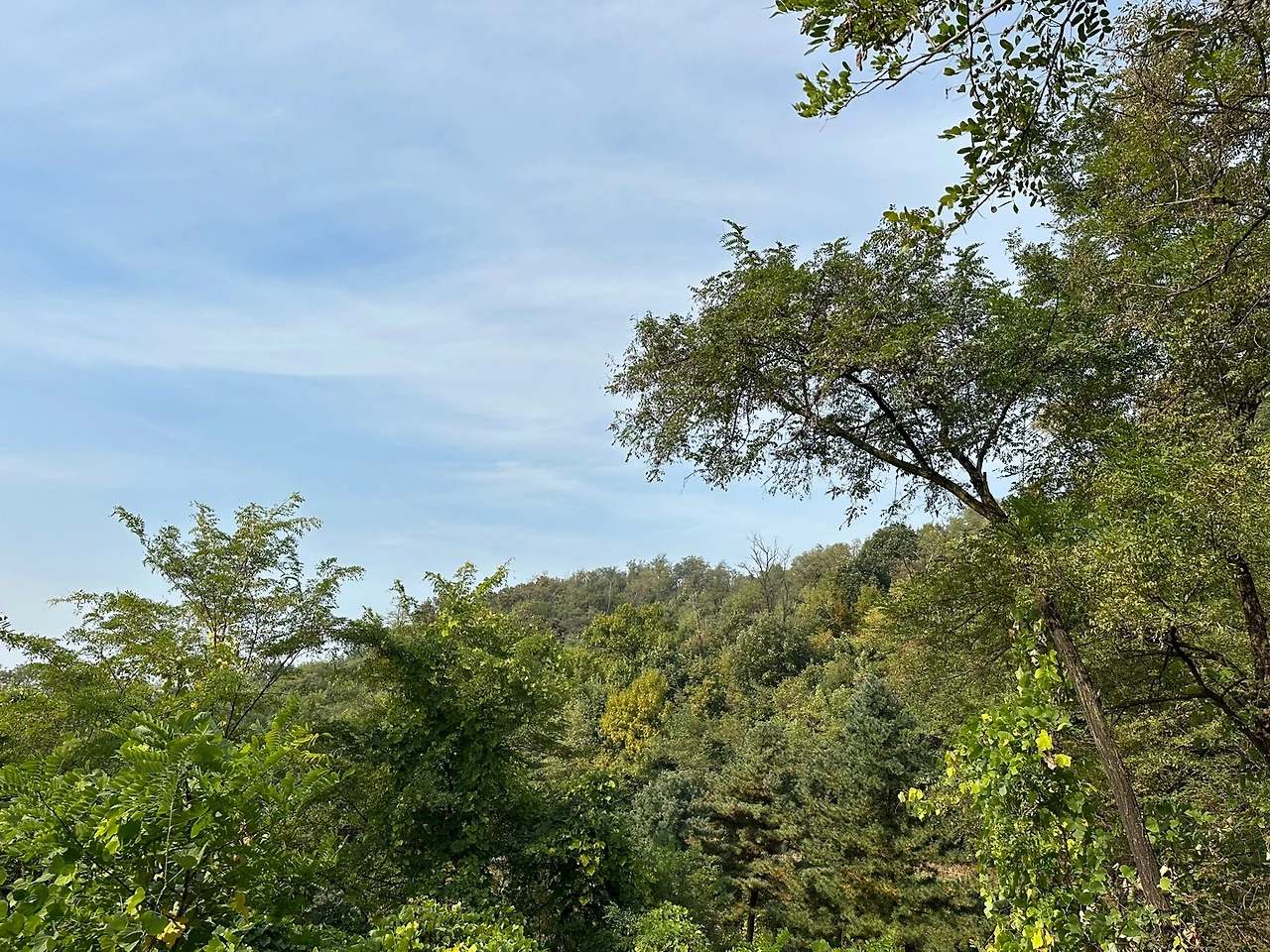 KakaoTalk_Photo_2023-10-24-18-19-07 010.jpeg