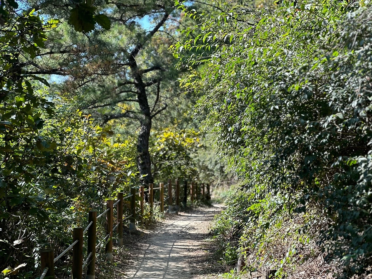 KakaoTalk_Photo_2023-10-17-14-19-09 015.jpeg