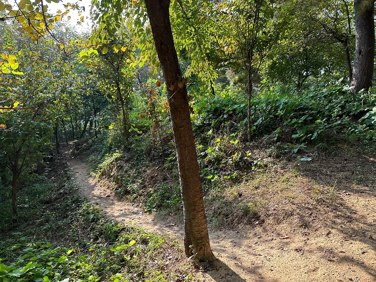 KakaoTalk_Photo_2023-10-24-18-19-06 004.jpeg