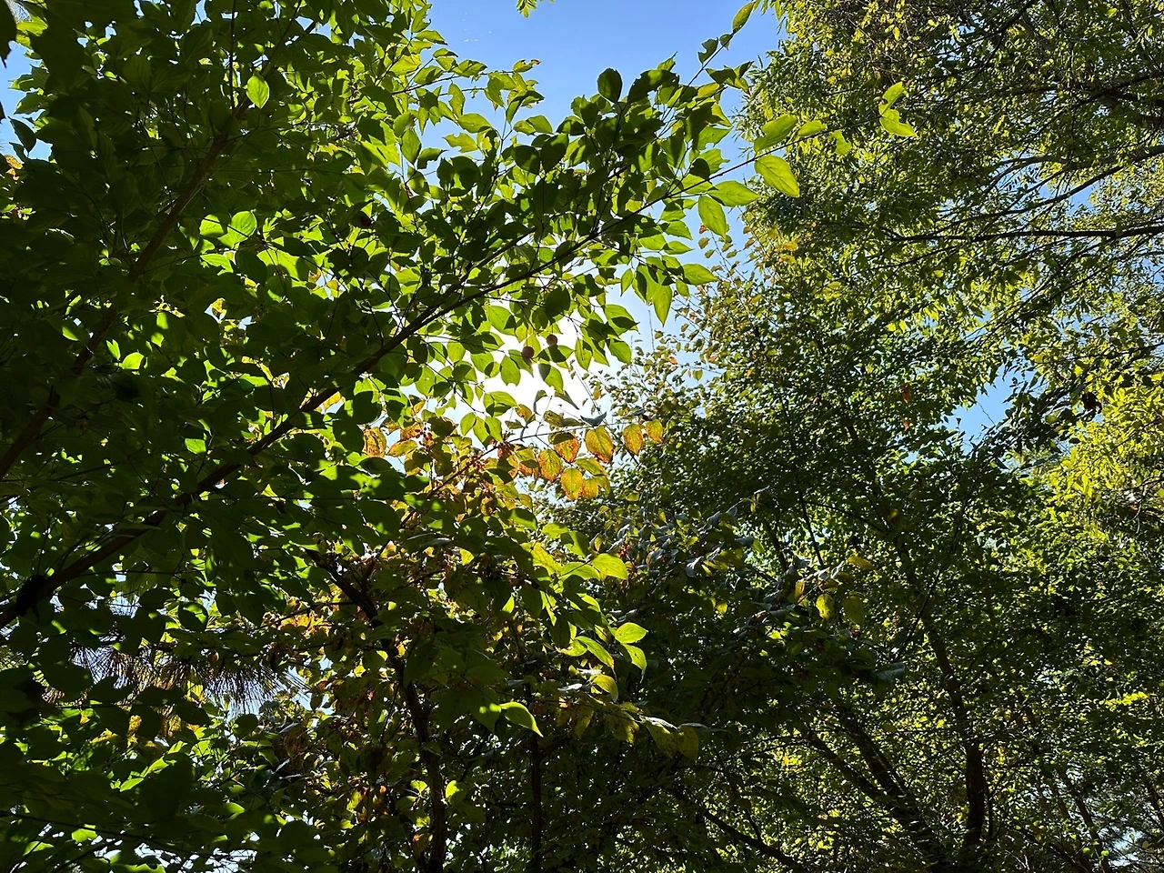 KakaoTalk_Photo_2023-10-17-14-19-07 008.jpeg