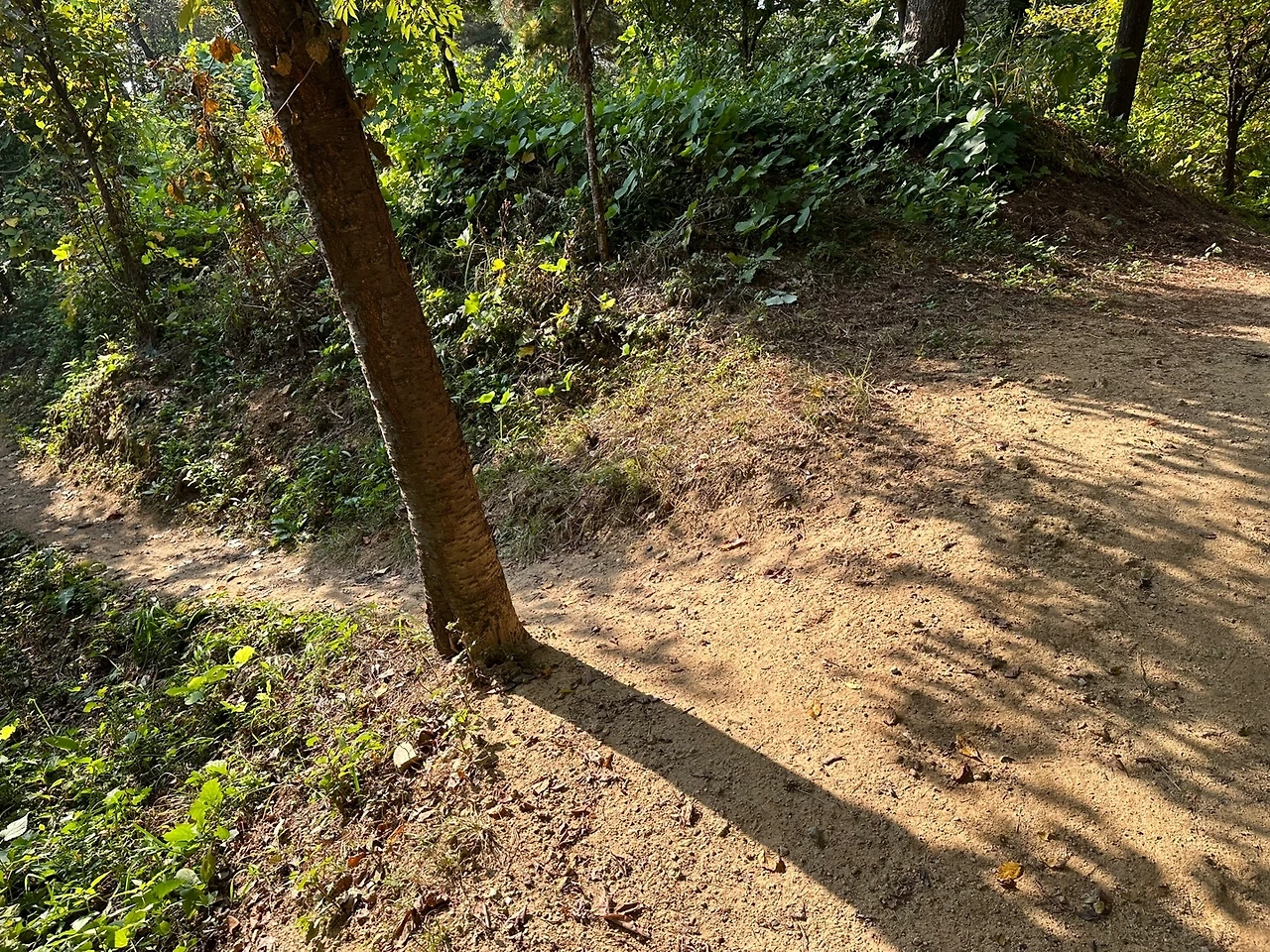 KakaoTalk_Photo_2023-10-24-18-19-06 005.jpeg