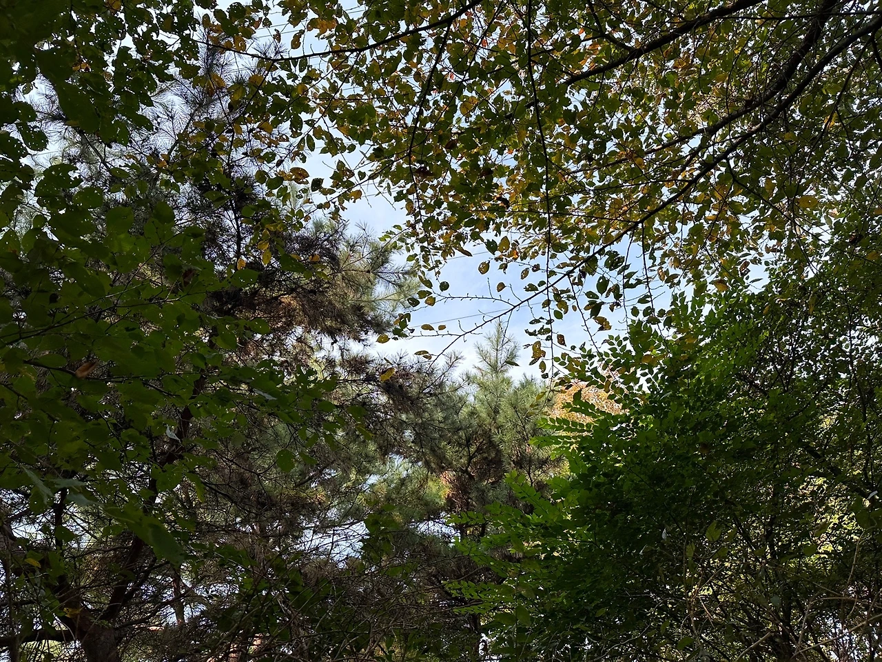 KakaoTalk_Photo_2023-10-24-18-19-09 019.jpeg