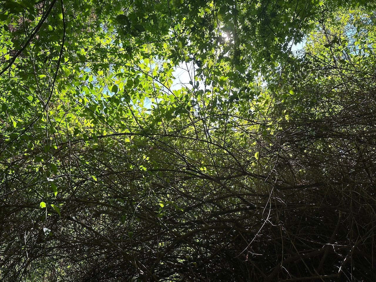 KakaoTalk_Photo_2023-10-21-16-28-43 002.jpeg