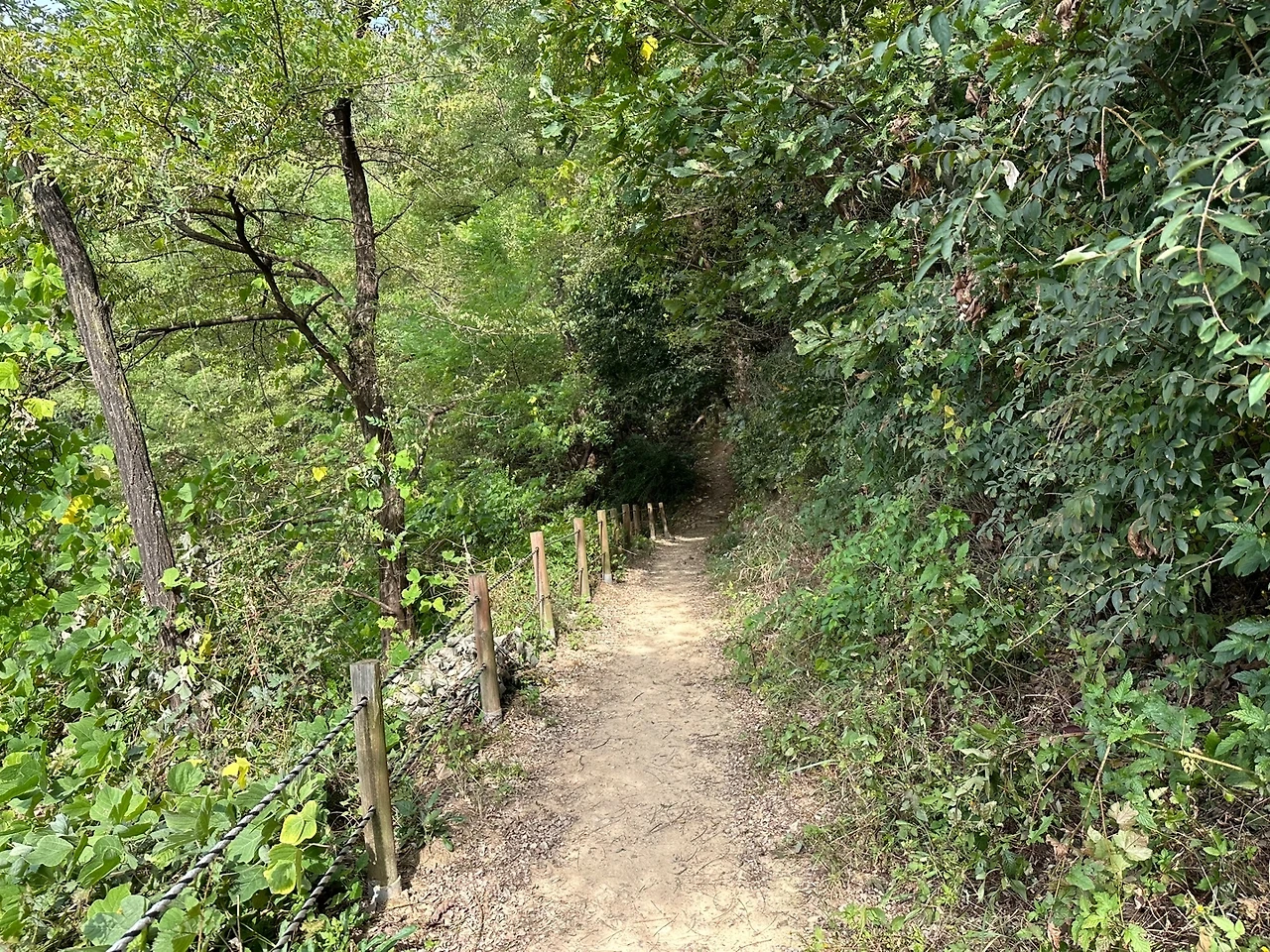 KakaoTalk_Photo_2023-10-18-23-11-16 010.jpeg