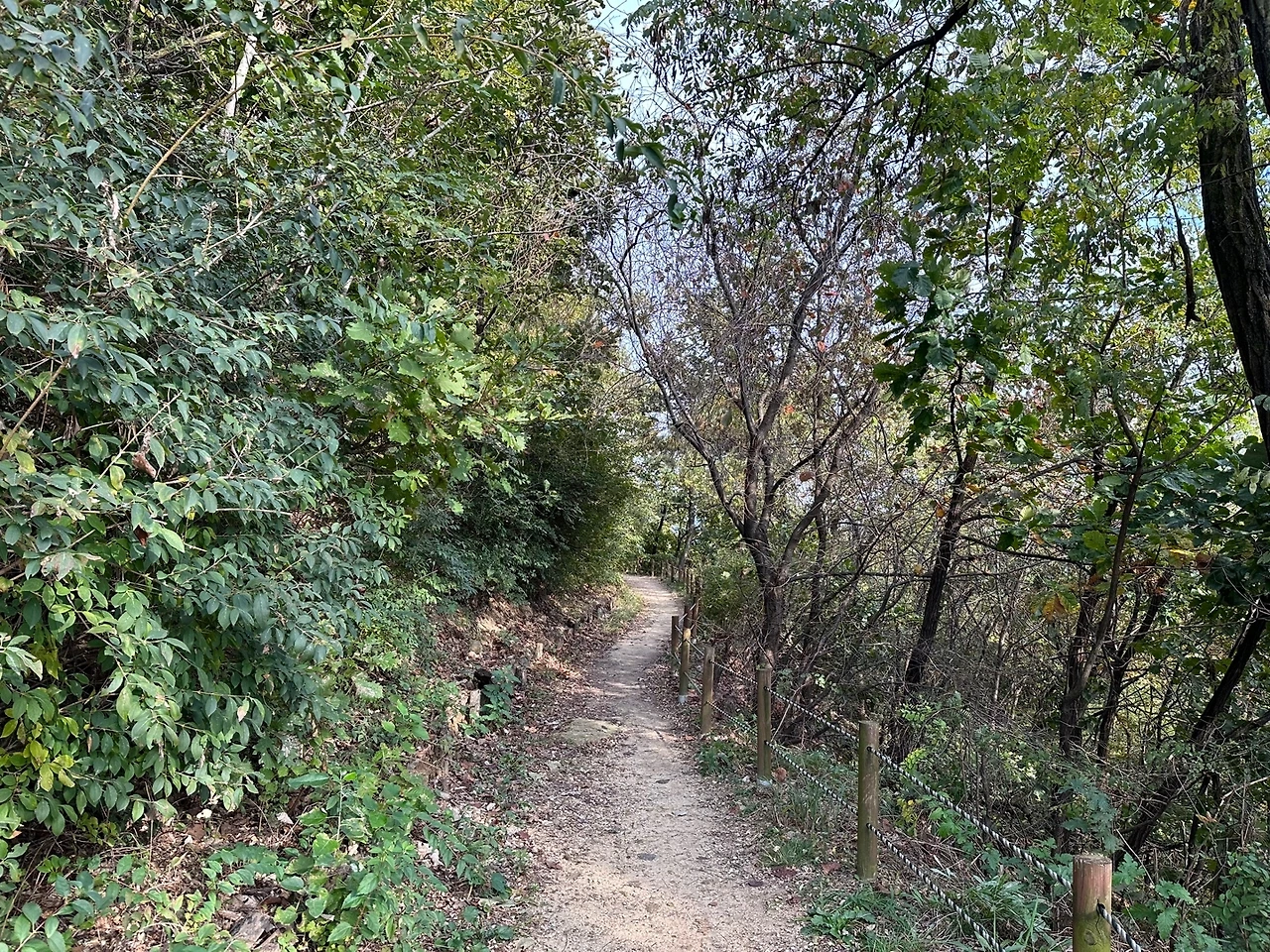 KakaoTalk_Photo_2023-10-22-21-09-46 002.jpeg