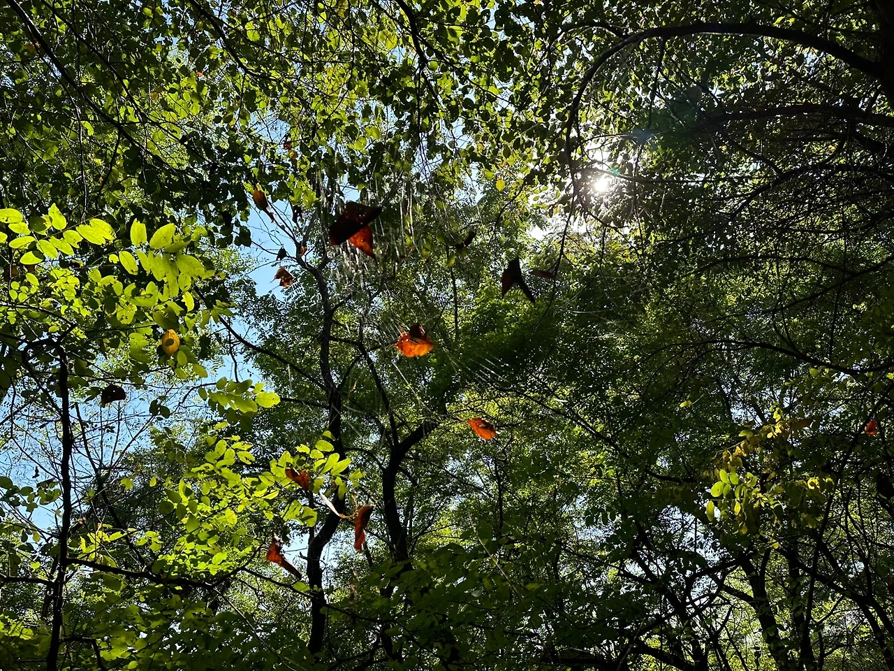 KakaoTalk_Photo_2023-10-16-17-26-45 002.jpeg