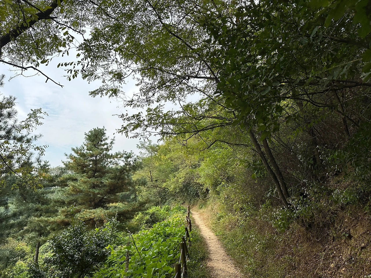 KakaoTalk_Photo_2023-10-18-23-11-16 008.jpeg