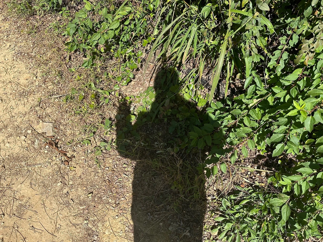 KakaoTalk_Photo_2023-10-21-16-28-45 014.jpeg