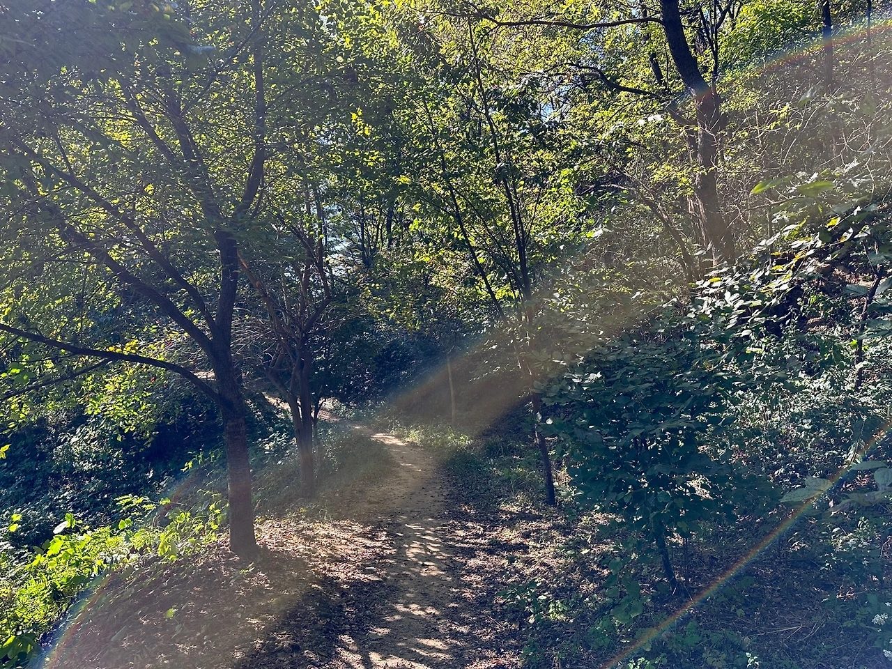 KakaoTalk_Photo_2023-10-17-14-19-07 006.jpeg