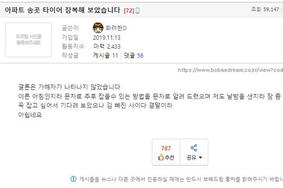 보배드림 화려한D 2.JPG