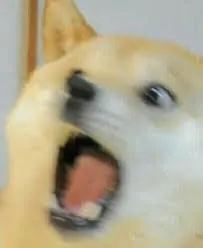 images?q=tbn:ANd9GcQqx_Fxek2riqvoh_lgGGhtGSf-sFHaUaONtw&s