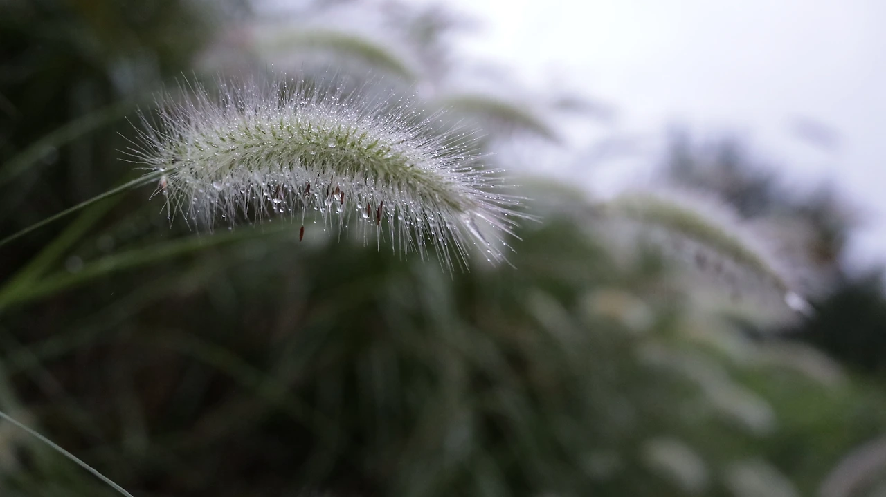 10a4c0c0c23e7604c174b1c0c2b0c63fbded9d45