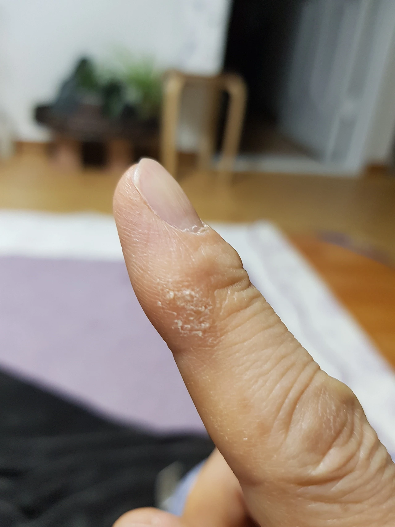 0fe05c0773cbd2c331085b8ed0c94fd31ed6709b