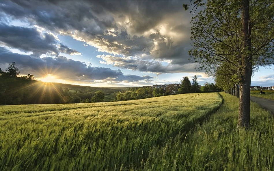 2021-07-03 18;41;56.PNG