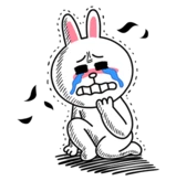 original_30.png?type=p50_50