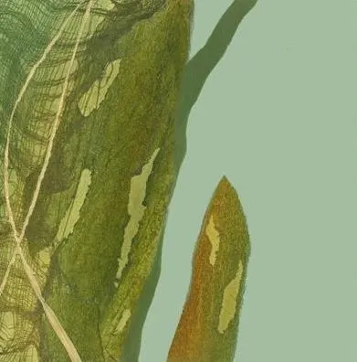 Motoko Ocean Garden 3.JPG