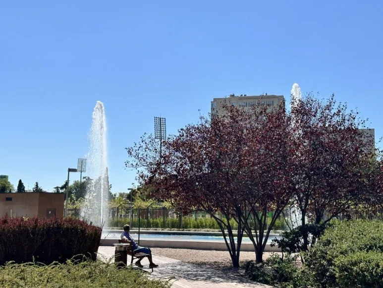 IMG_7410.JPG?type=w773