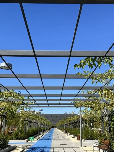 IMG_7407.JPG?type=w386