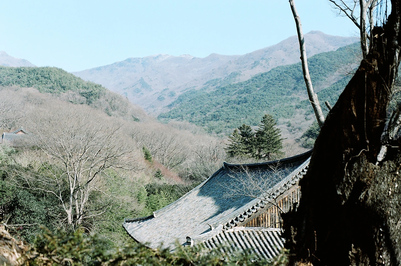 162 ㅔㅐㄳㄱㅁ 160.JPG