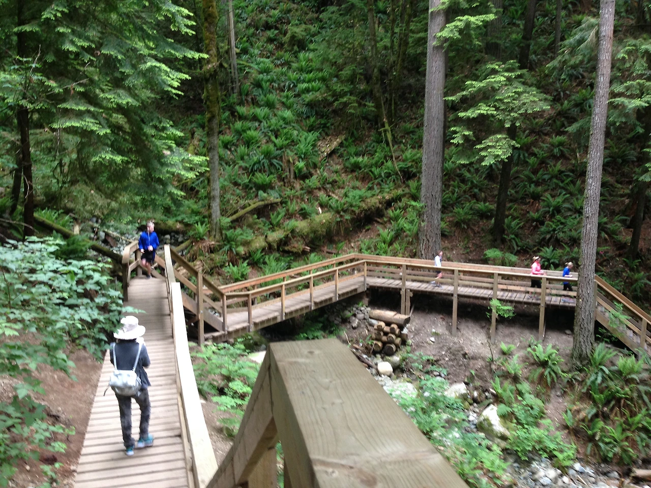 5 퀴리락 트레일 나무다리.JPG