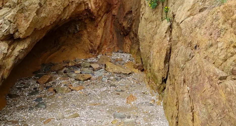 %EC%8A%A4%ED%81%AC%EB%A6%B0%EC%83%B7_2022-04-19_%EC%98%A4%EC%A0%84_3.18.32.png?type=w1