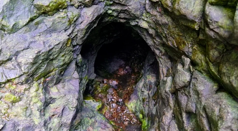 %EC%8A%A4%ED%81%AC%EB%A6%B0%EC%83%B7_2022-04-19_%EC%98%A4%EC%A0%84_3.18.15.png?type=w1