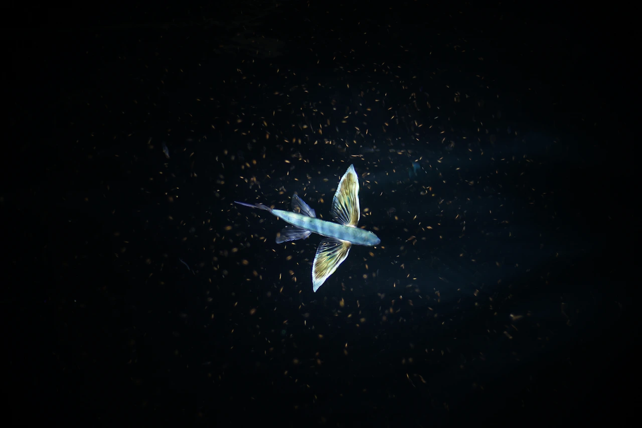 DSC00029 오전 2.34.01 오전 2.34.01 오전 2.34.01 오전 2.34.01 오전 2.34.01.JPG