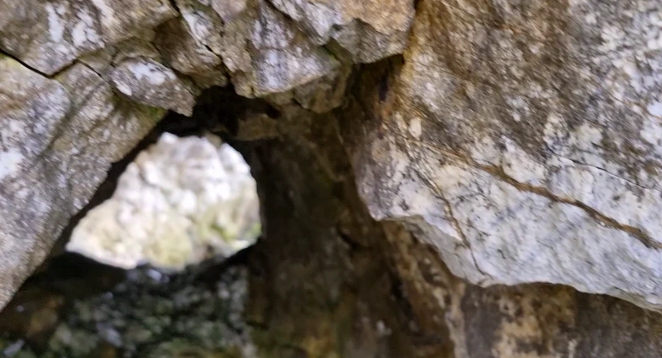 %EC%8A%A4%ED%81%AC%EB%A6%B0%EC%83%B7_2022-04-19_%EC%98%A4%EC%A0%84_3.18.09.png?type=w1