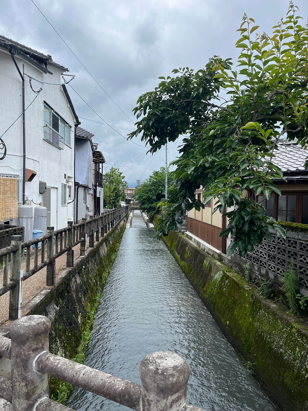 KakaoTalk_Photo_2025-06-25-13-02-34 016.jpeg