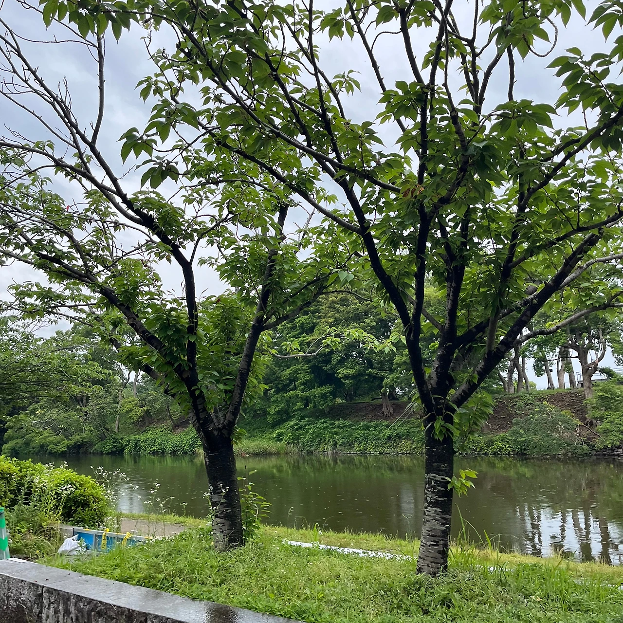 KakaoTalk_Photo_2025-06-25-12-58-52 024.jpeg