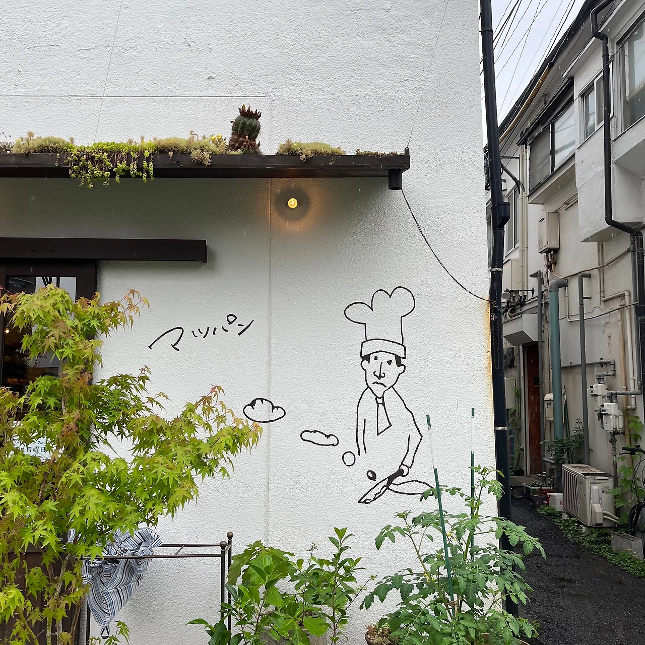 KakaoTalk_Photo_2025-06-25-12-58-55 027.jpeg