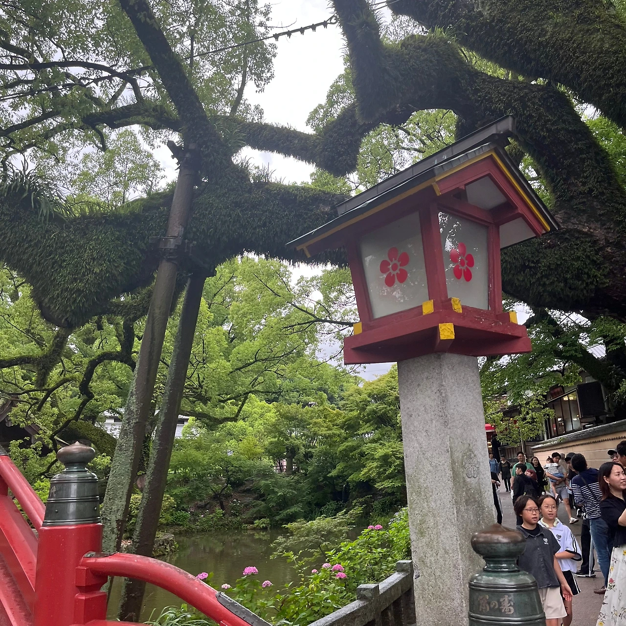 KakaoTalk_Photo_2025-06-25-13-02-41 030.jpeg