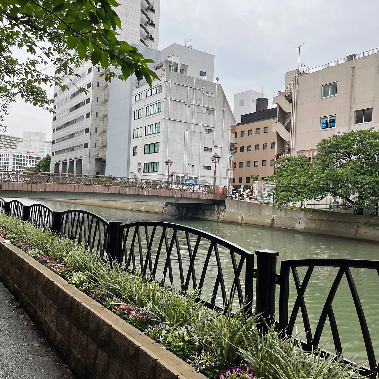 KakaoTalk_Photo_2025-06-25-12-58-49 015.jpeg