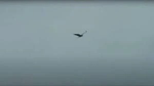 AD_4nXe4apdK9ryoFixmMLghW_h6iz7vyzGhEv2OcQB5V14e4YSL7Wze7ZasaneuZLbKH-ONW4w8OHsJjA3pw1qy3jlePg6k6jUfuTp-KWxvd1Xdvxz3BngRvvsC9rJfM8pfg7f2-B54HgHkMUhnBErtW2FBXsNu?key=QX35RJUroPqkv9voE_Gd4A