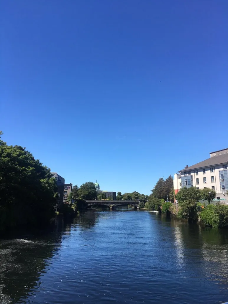 IMG_4026.JPG?type=w773