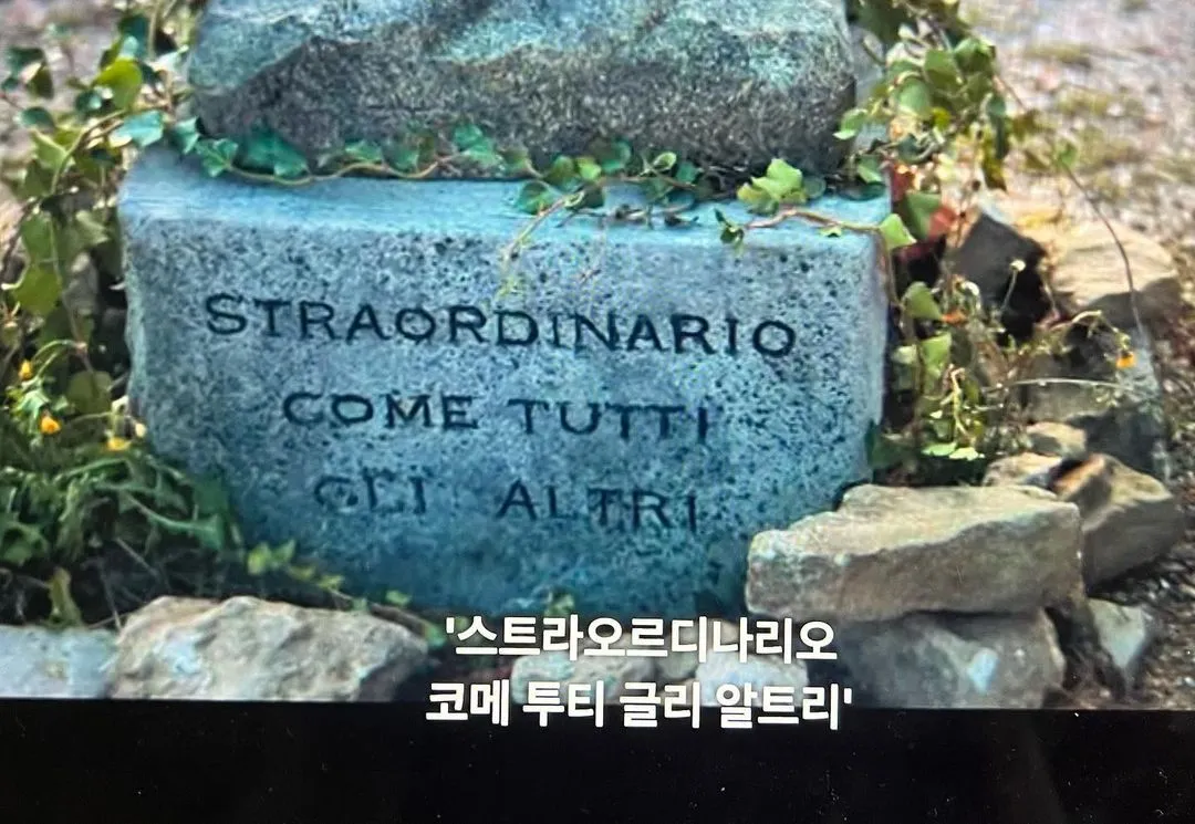 다운로드 (50).jpeg