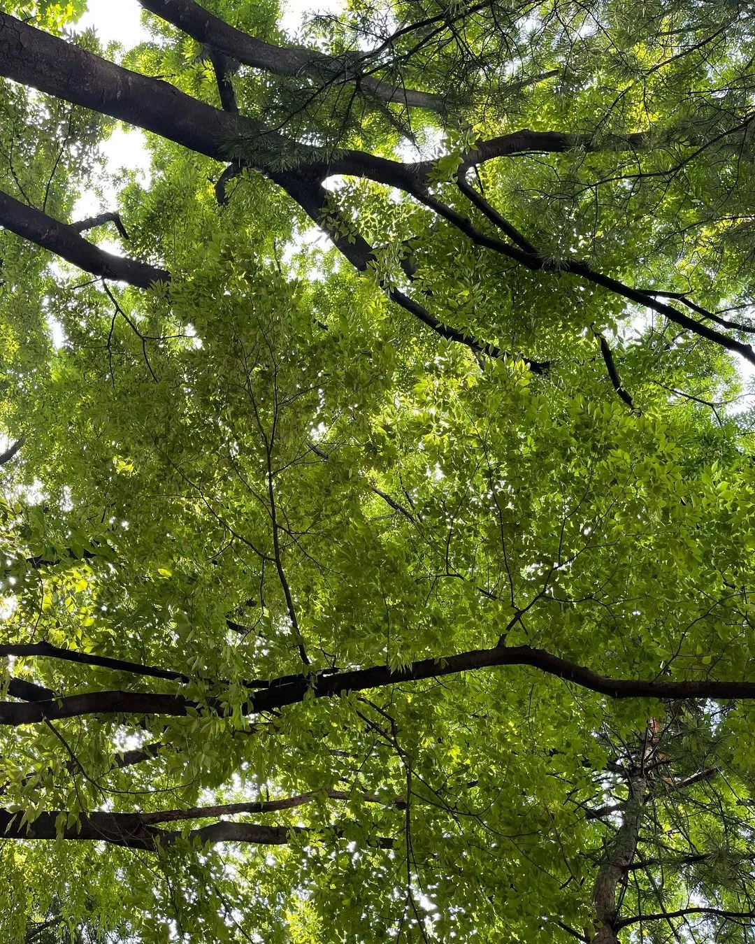 다운로드 (15).jpeg