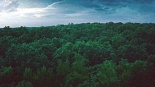 다운로드 (40).jpeg