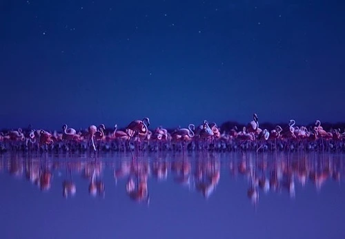 다운로드 (54).jpeg