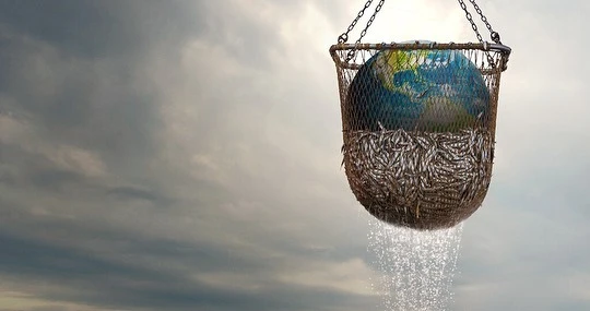 다운로드 (98).jpeg