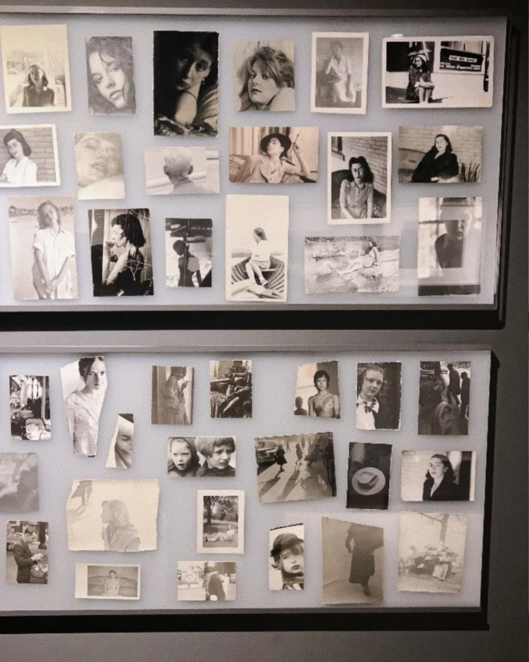 다운로드 (3).jpeg